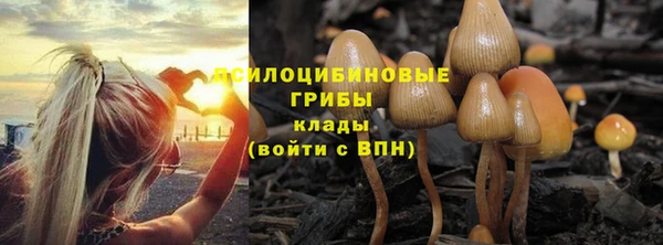 крисы Алексин
