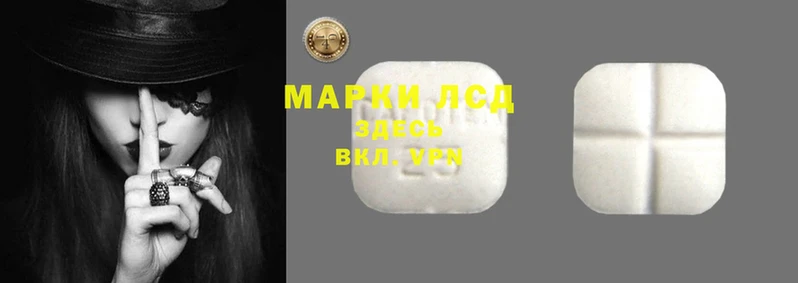 крисы Алексин