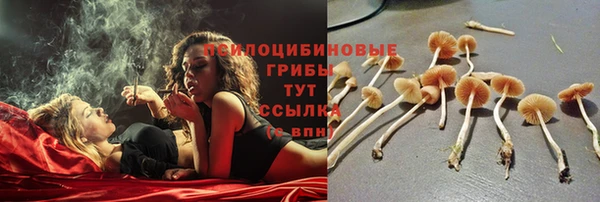 метадон Алзамай