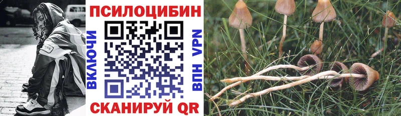 Псилоцибиновые грибы ЛСД  где купить   Гвардейск 